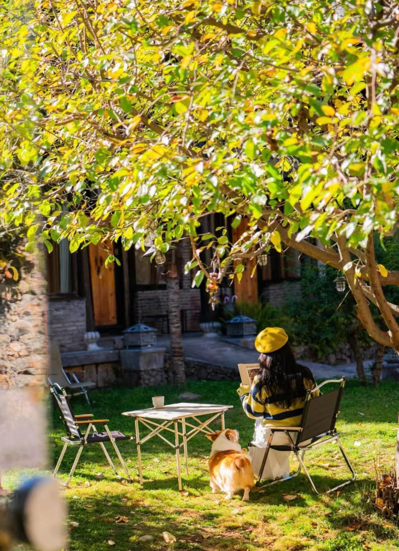 Adonis Inn Lijiang Λιγιάνγκ Εξωτερικό φωτογραφία